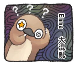 81054685