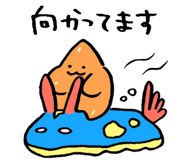 810550655
