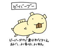 810552230