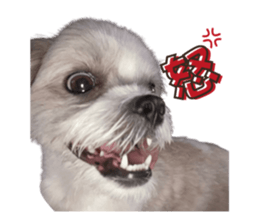 810561715