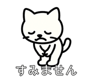 810568907