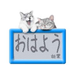 810581266