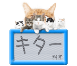 810581752