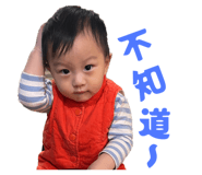 810598896