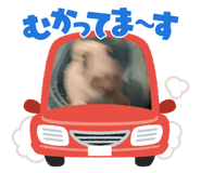 810599862