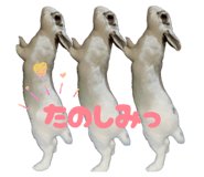 810599870