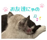 810599874