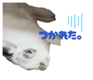 810599878