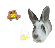 810599888
