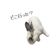810599896