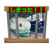 810599943