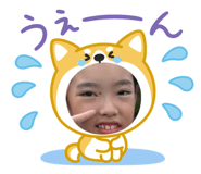 810600550