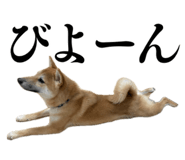 810600630