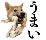 810600640