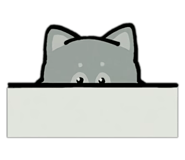810604989