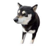 810611050