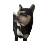 810611052
