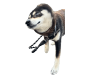 810611055