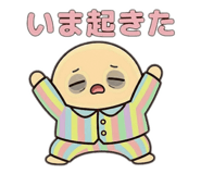 810620666