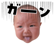810620753
