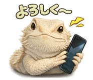 810627331