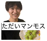 810628441