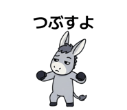810629050