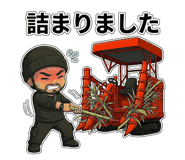 810630294