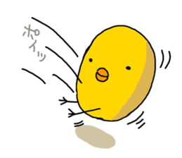 8106455