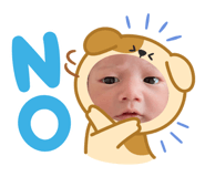 810645516