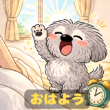 810652033