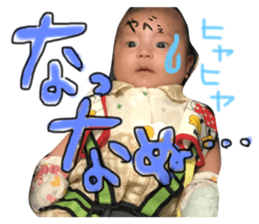 81065772