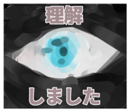 810689117