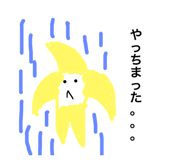 81068964