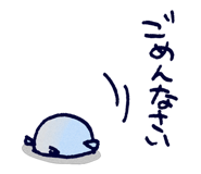 81071036