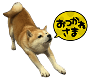 810712738