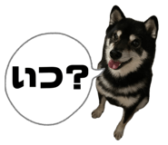 810712739