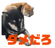 810712743