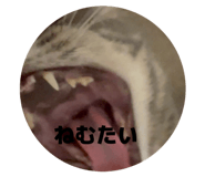 810715867