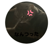 810715869
