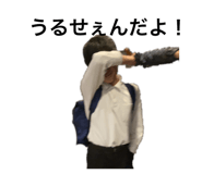 810716065