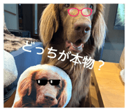 810716303
