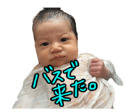 810718685
