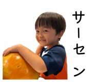 810720040