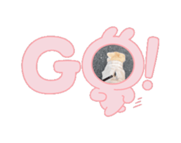 810726005