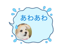 810726011