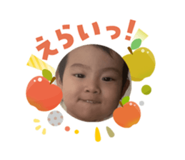 810741986