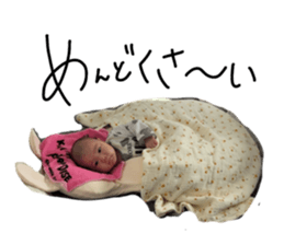 810747679