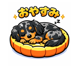 810757957