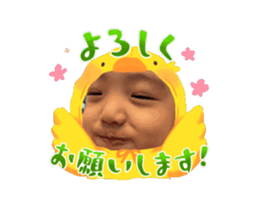 810761429